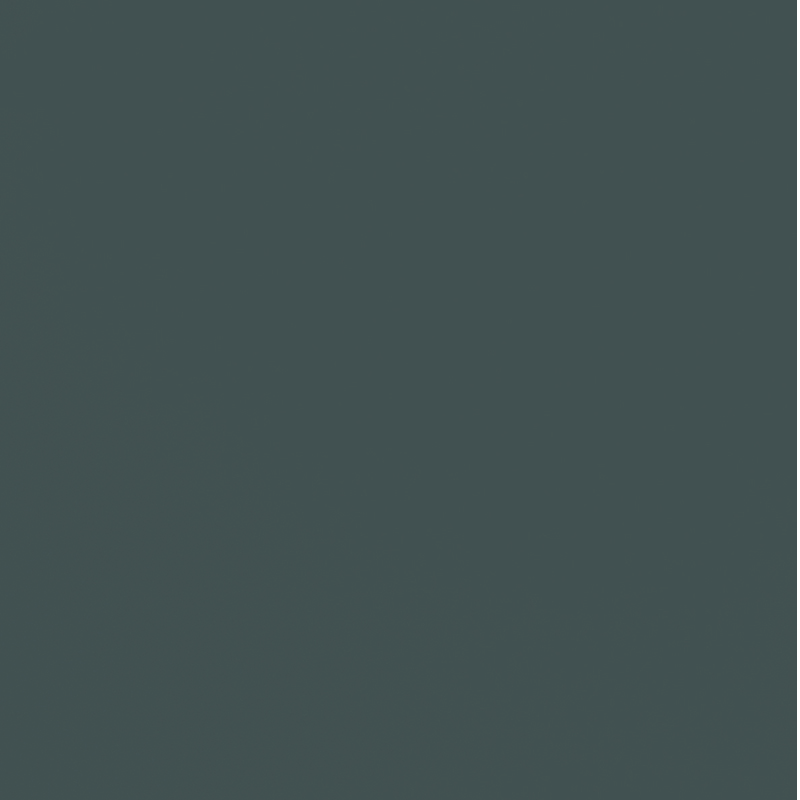 194, slate grey countertop by nobilia North America