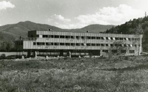 Black Mountain School