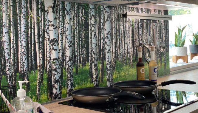 nobilia kitchen with forest backsplash
